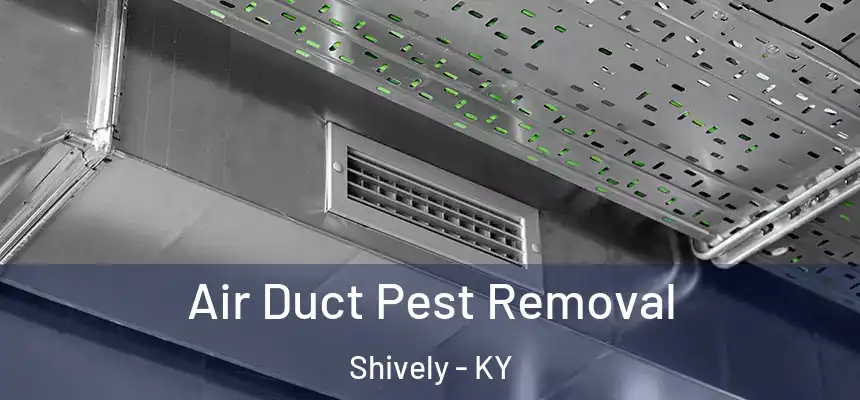  Air Duct Pest Removal Shively - KY