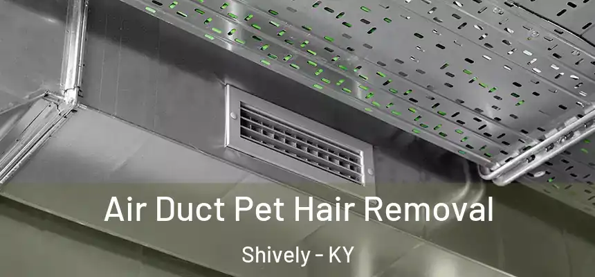  Air Duct Pet Hair Removal Shively - KY