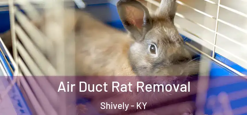  Air Duct Rat Removal Shively - KY
