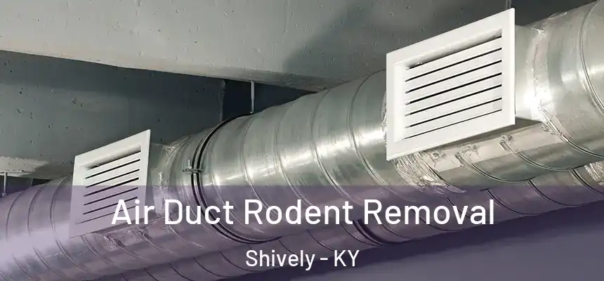  Air Duct Rodent Removal Shively - KY