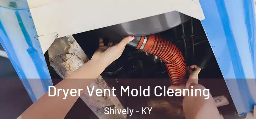  Dryer Vent Mold Cleaning Shively - KY