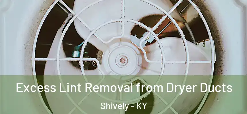  Excess Lint Removal from Dryer Ducts Shively - KY