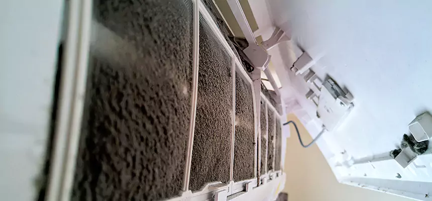 Preventive Air Duct Bacteria Removal in Shively