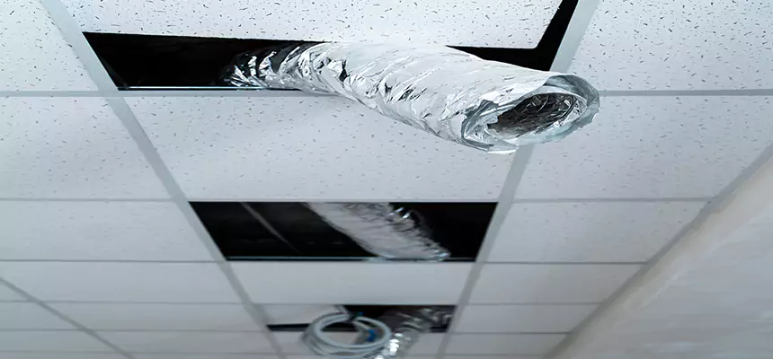 Our Air Duct Pet Hair Removal Services in Shively, KY