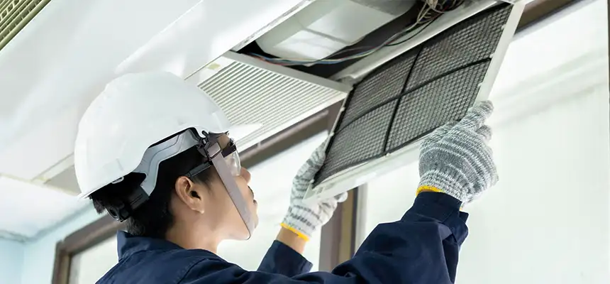 Our Lint Trap Cleaning Service Services in Shively, KY