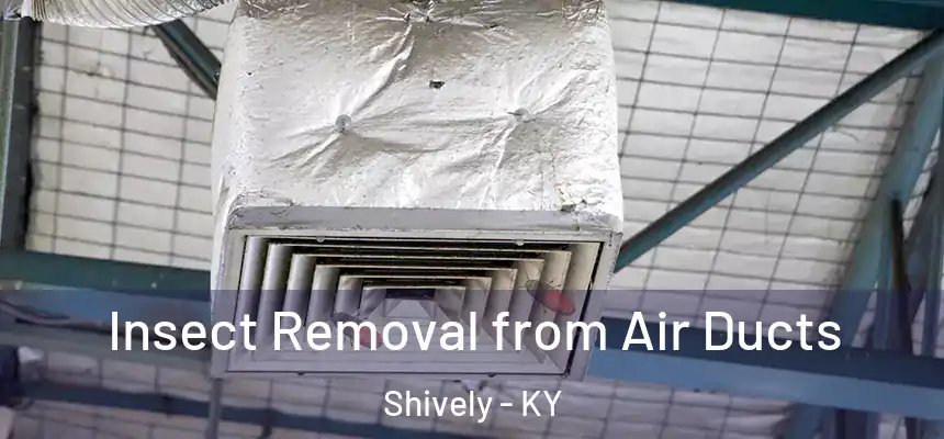  Insect Removal from Air Ducts Shively - KY