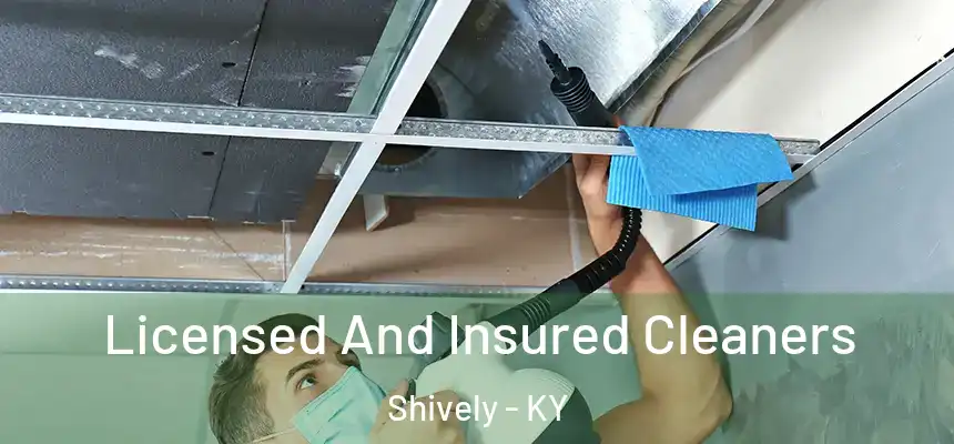  Licensed And Insured Cleaners Shively - KY
