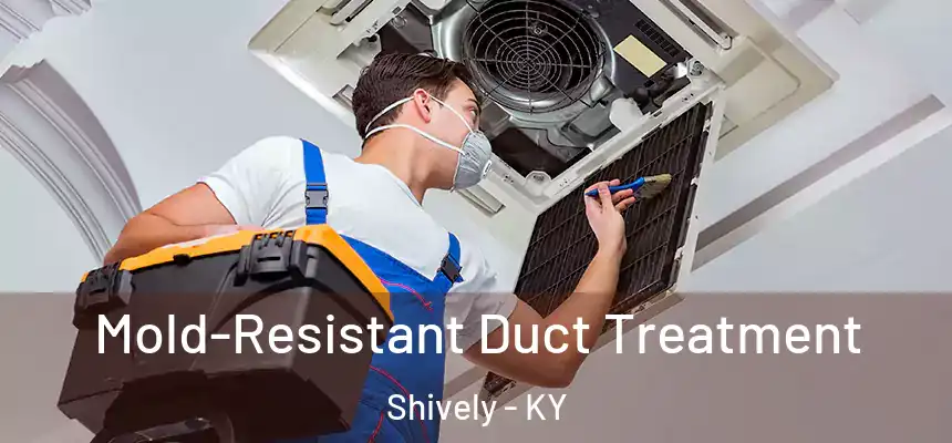  Mold-Resistant Duct Treatment Shively - KY