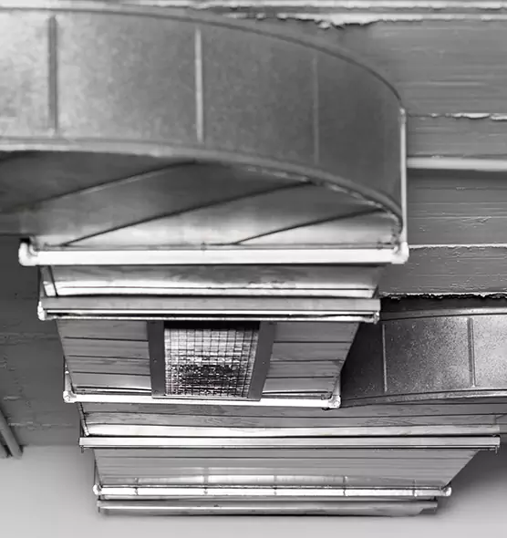 Professional Air Duct Pest Removal in Shively, KY