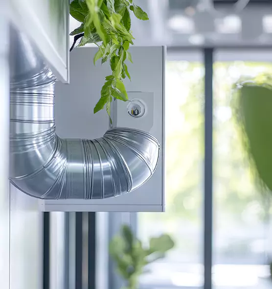 Professional Eco-Safe Dryer Vent Cleaning in Shively, KY