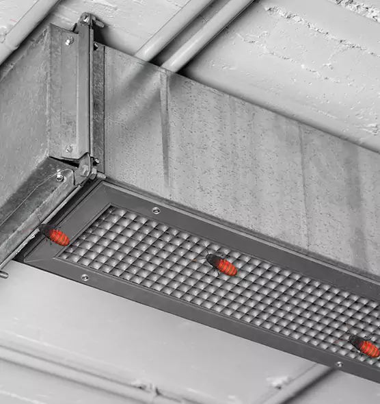 Affordable Insect Removal from Air Ducts in Shively, KY