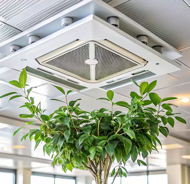 Why Homeowners & Businesses Trust Us in Shively, KY