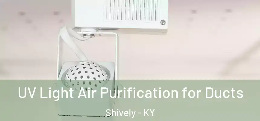  UV Light Air Purification for Ducts Shively - KY